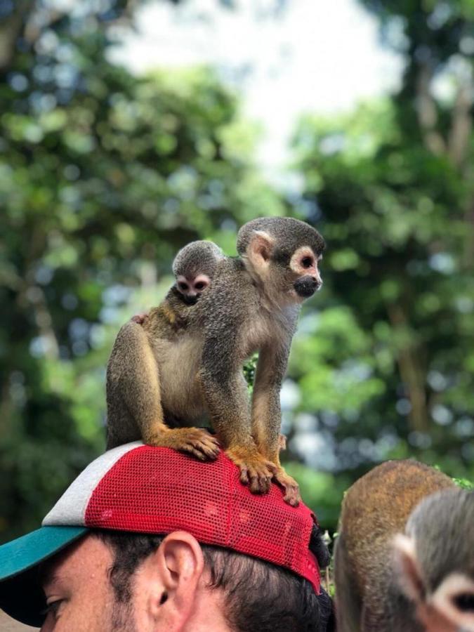 Hotel Yurupary Amazonas レティシア エクステリア 写真