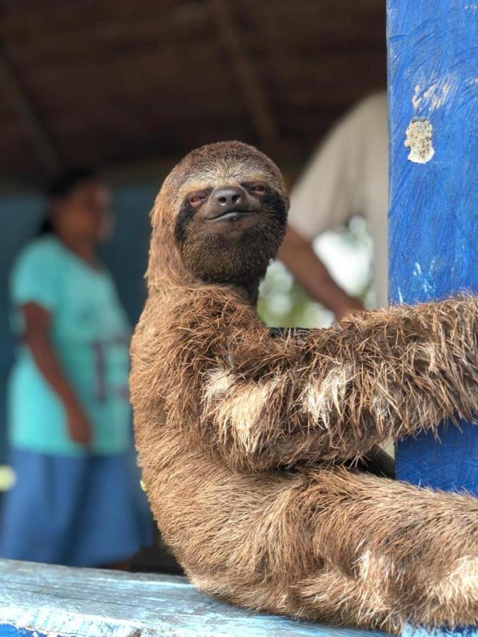 Hotel Yurupary Amazonas レティシア エクステリア 写真